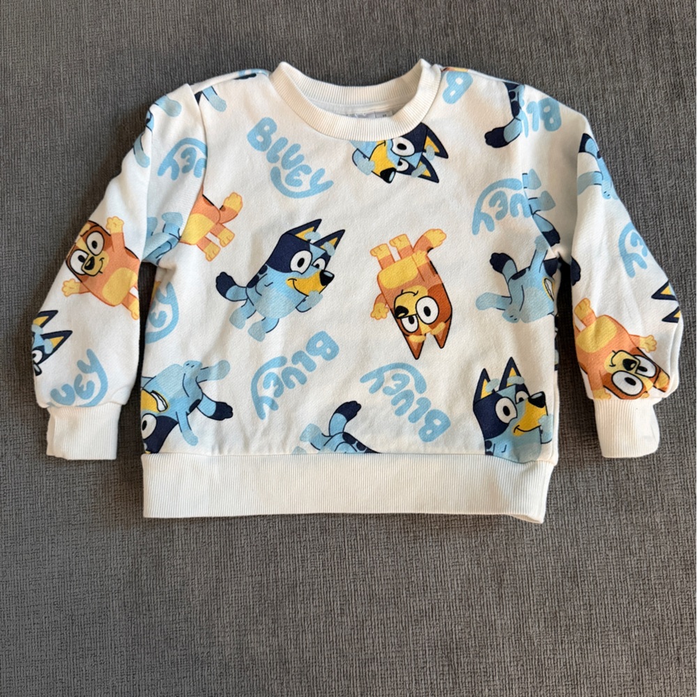 Bluey Characters Print Sweatshirt